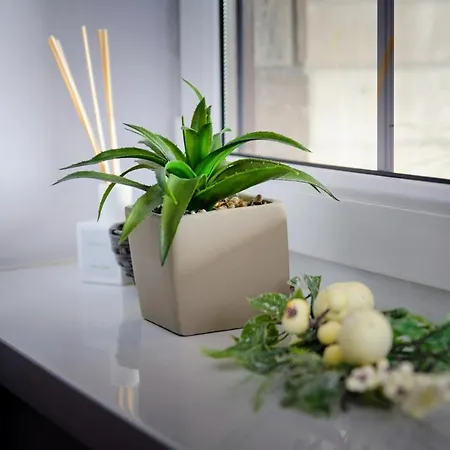 Gyógyvölgy Egerszalók